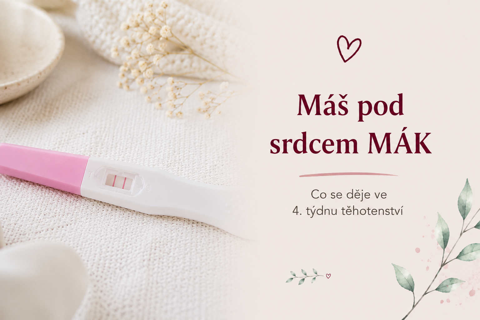 4. týden těhotenství, aneb máte pod srdcem „mák“ 4. týden těhotenství, aneb máte pod srdcem „mák“